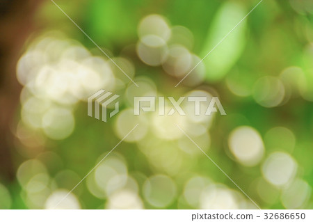 Bokeh nature color background leaf of the tree Bokeh nature color background leaf of the tree 32686650
