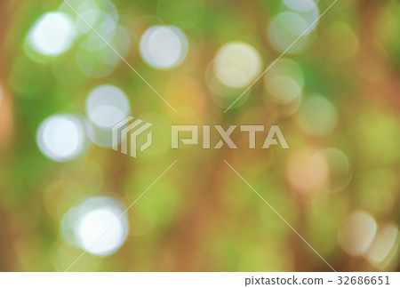 Bokeh nature color background leaf of the tree Bokeh nature color background leaf of the tree 32686651