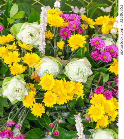Flower on leaf for background Flower on leaf for background 32686652