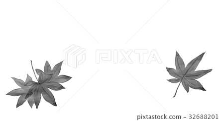 Autumn leaves of ink paintings <illustration of autumn> 32688201