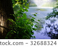 Waterside Komorebi 32688324