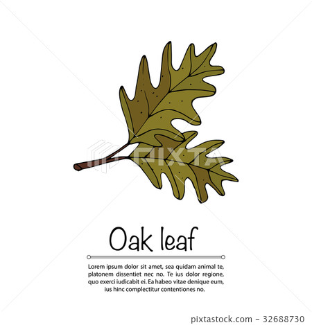 Handdrawn vector doodle logo. Handdrawn vector doodle logo. 32688730