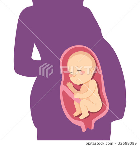 Baby On Womb 32689089