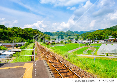 農村風景在夏天 32689286