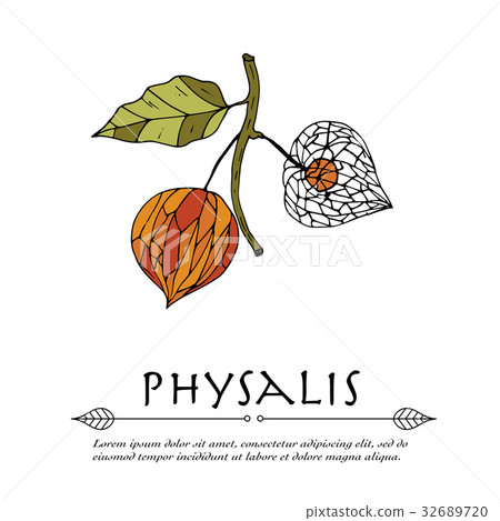 Handdrawn vector doodle logo. 32689720