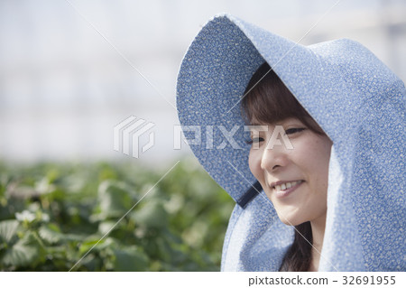 Ichigo farmer Ichigo farmer 32691955