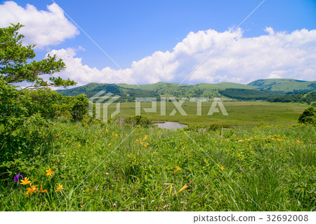 [長野縣] Kirigamine /山島沼澤（Nikkosuki盛開） 32692008