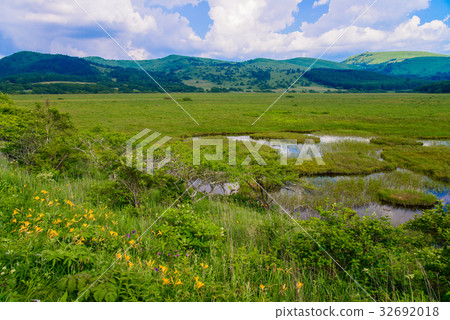 [長野縣] Kirigamine /山島沼澤（Nikkosuki盛開） 32692018