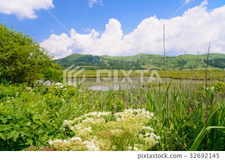 [長野縣] Kirigamine /山島沼澤 32692145