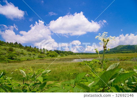 [Nagano Prefecture] Kirigamine/Yashima Marsh 32692146