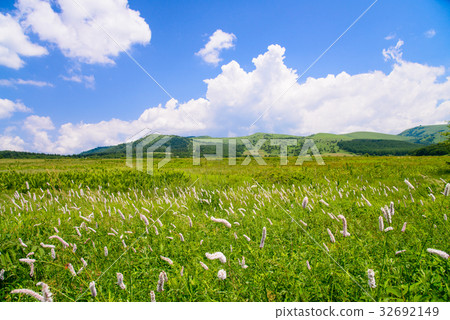 [長野縣] Kirigamine /山島沼澤 32692149