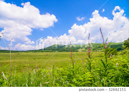 [長野縣] Kirigamine /山島沼澤 32692151