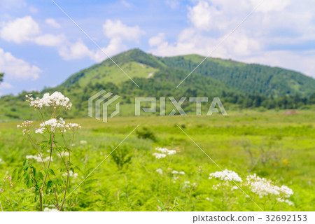 [長野縣] Kirigamine /山島沼澤 32692153