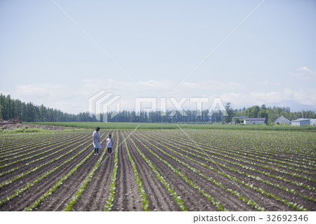 父母和孩子在外地散步 32692346