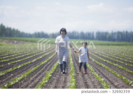 Parent and child walking in the field 32692359