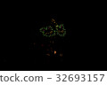 Fireworks display   32693157