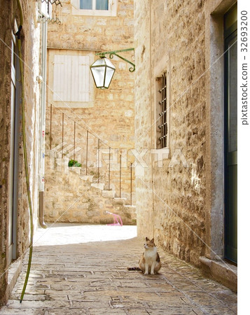 黑山布德瓦貓 32693200