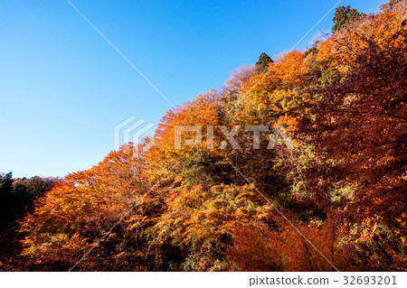 秋天梅梅塞谷 秋天梅梅塞谷 32693201