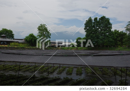 Azumino Owasabi農場 32694284