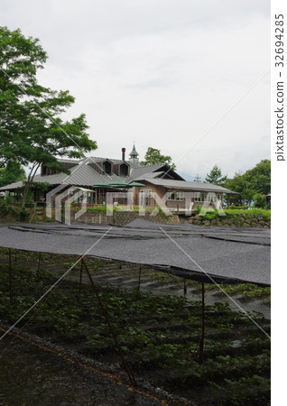 Azumino Owasabi農場 32694285