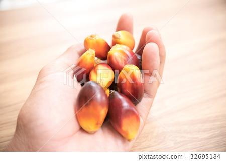 A group of oil palm fruits on wood table 32695184