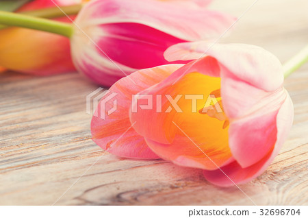 Yellow and pink tulips on shabby wooden background 32696704