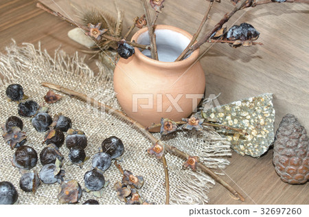 Twigs small wild persimmon  on sackcloth 32697260