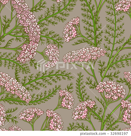 yarrow vector pattern yarrow vector pattern 32698197