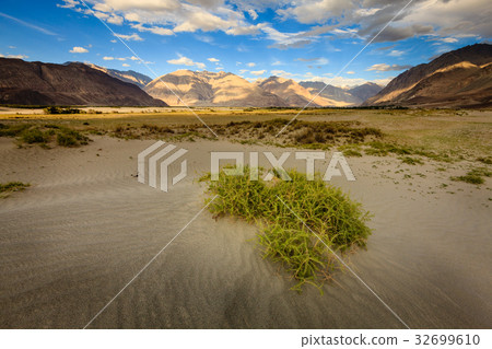 Nubra Valley 32699610