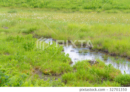 [長野縣] Kirigamine /山島沼澤 32701350