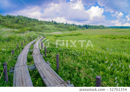 [Nagano Prefecture] Kirigamine/Yashima Marsh 32701354