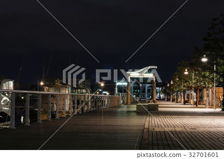 Harbor night view 32701601