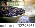 fertilizer on the bonsai pots 32702063