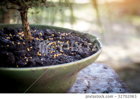 fertilizer on the bonsai pots fertilizer on the bonsai pots 32702063