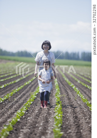 Parent and child walking in the field 32702298