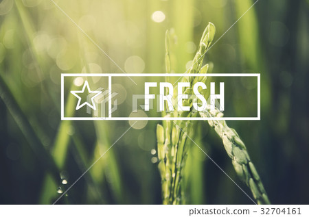 Alternative Farming Sustainable Nature Concept Alternative Farming Sustainable Nature Concept 32704161