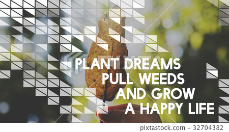 Life motivation inspiratin positive vibes quote on nature leaf background 32704382