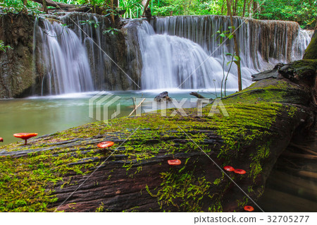 Waterfall in Deep Forest 32705277