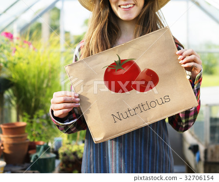 Organic Fresh Tomato Farm Product Vegetable Graphic 32706154