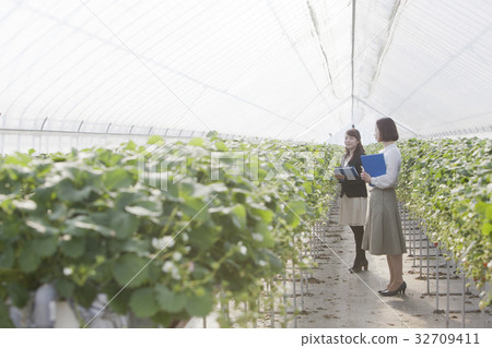 Ichigo研究員 32709411