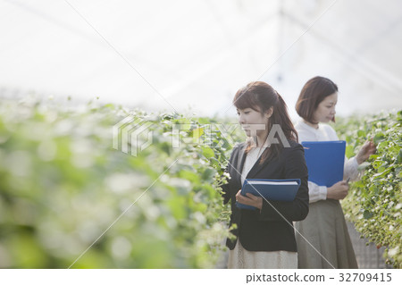 Ichigo研究員 32709415