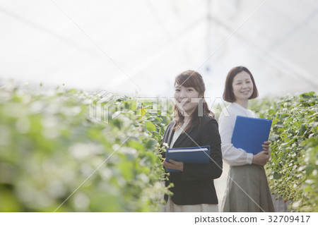 Ichigo researcher 32709417