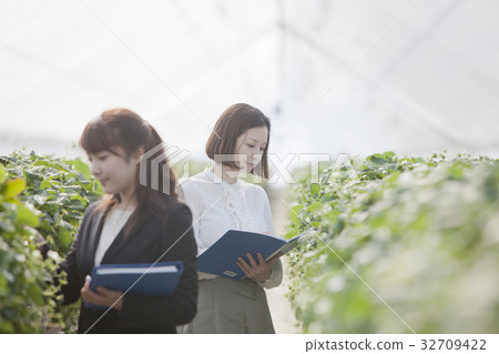 Ichigo研究員 32709422