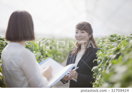 Ichigo researcher Ichigo researcher 32709424