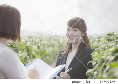 Ichigo研究員 32709426