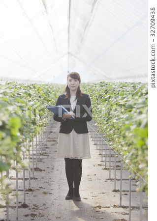 Ichigo研究員 32709438