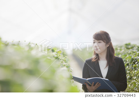 Ichigo研究員 32709443