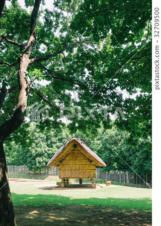 Ruins, Yayoi period Ruins, Yayoi period 32709500