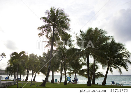 Evening beach 32711773