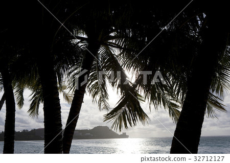 Palm trees and seas Palm trees and seas 32712127